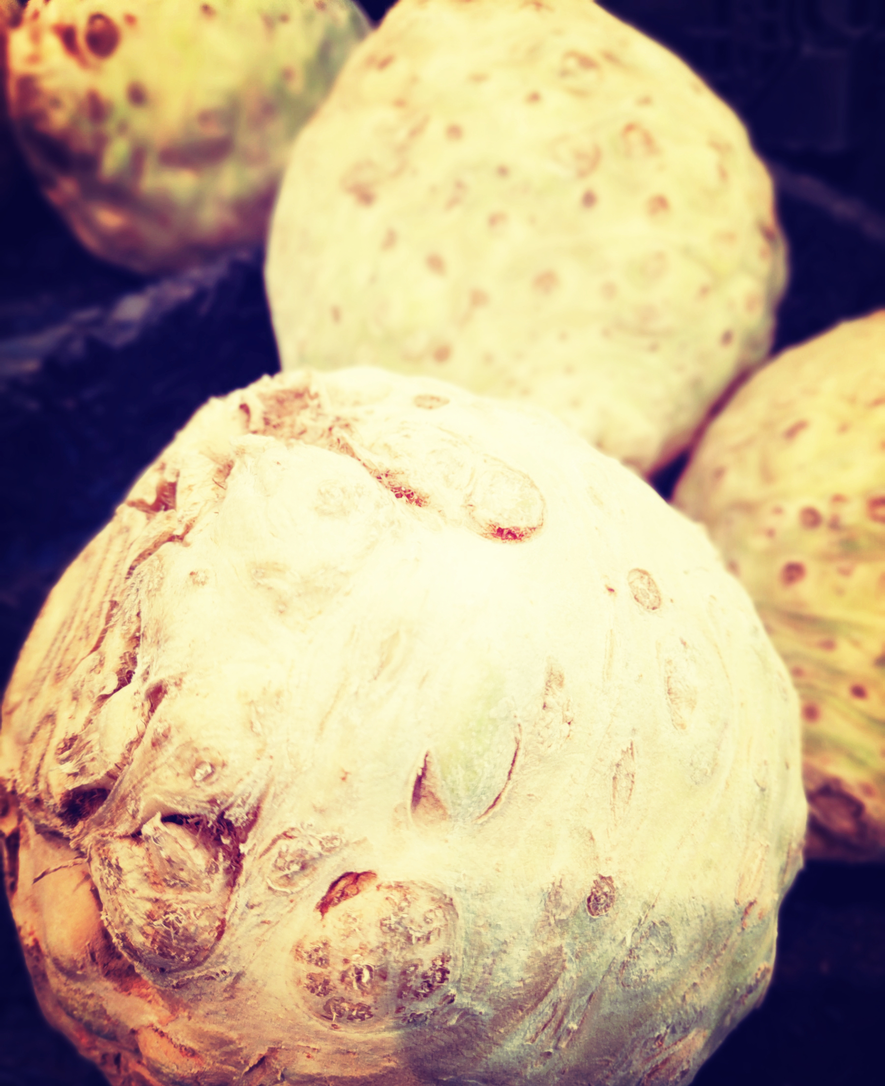 Celeri Prevention Allergies Alimentaires