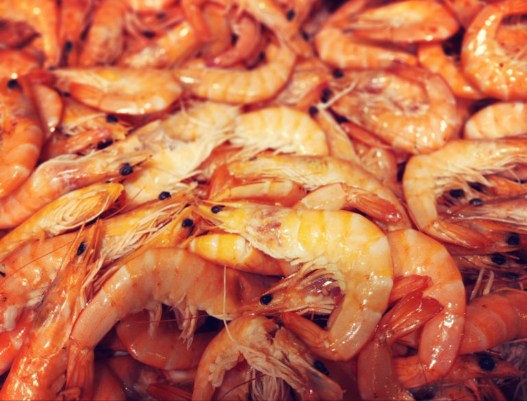 Histamine aliments Histaminolibérateurs Prévention allergies